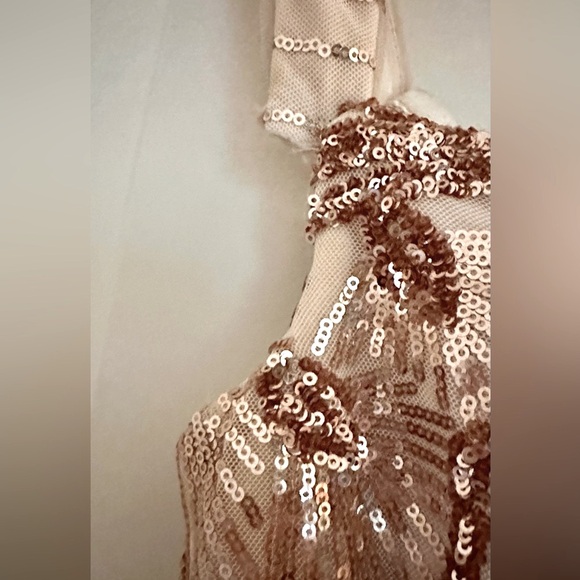 Bariano Australia Mermaid Embroidery Sequins Rose Gold Gown Sz 10 - Picture 4 of 4